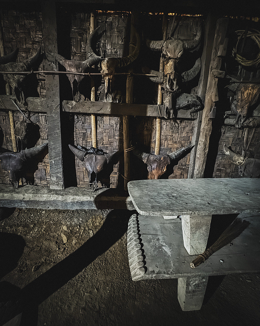crânes de mithun la vache locale accrochés au mur d'une maison naga devant deux lits naga