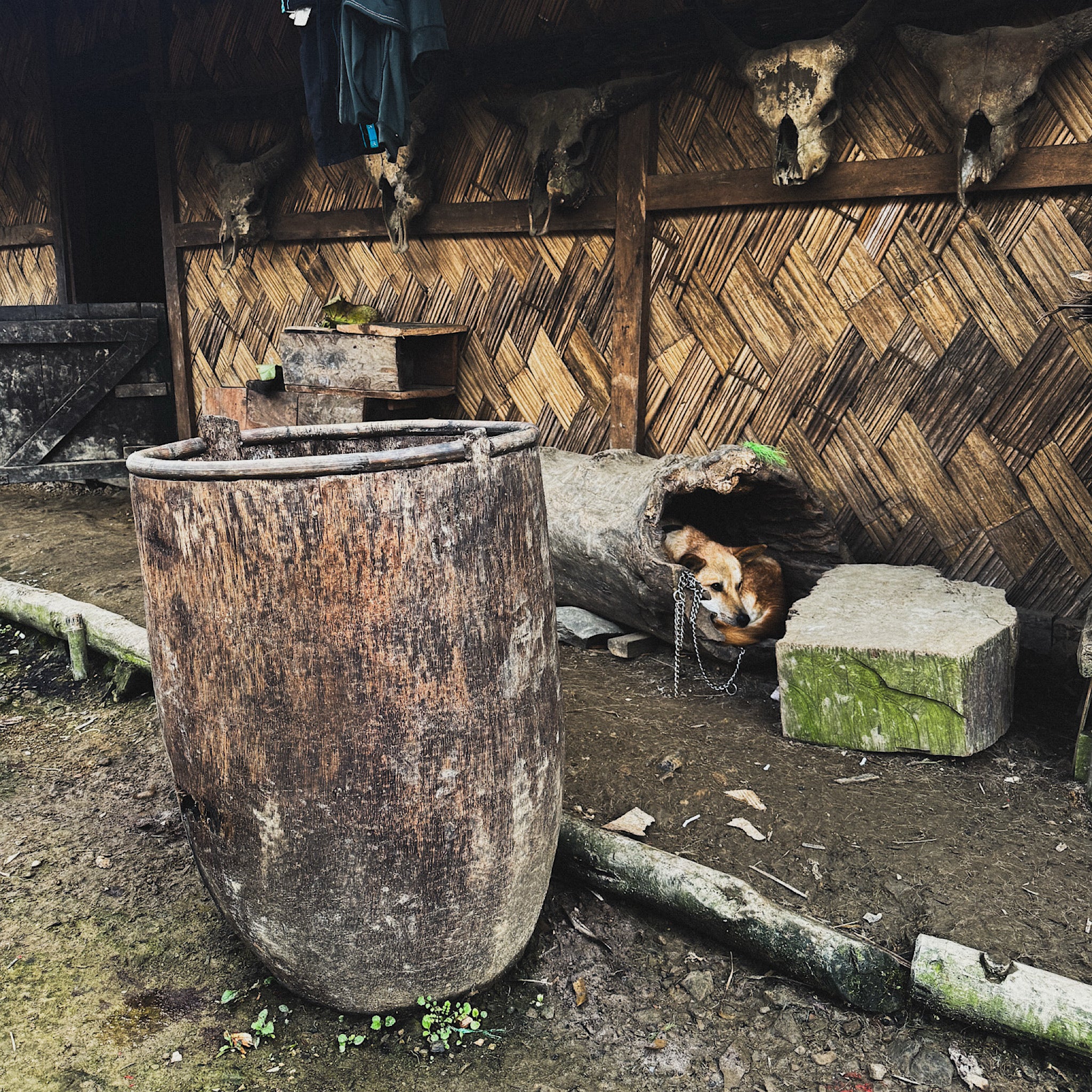 Bumei - Fût du Nagaland nº6
