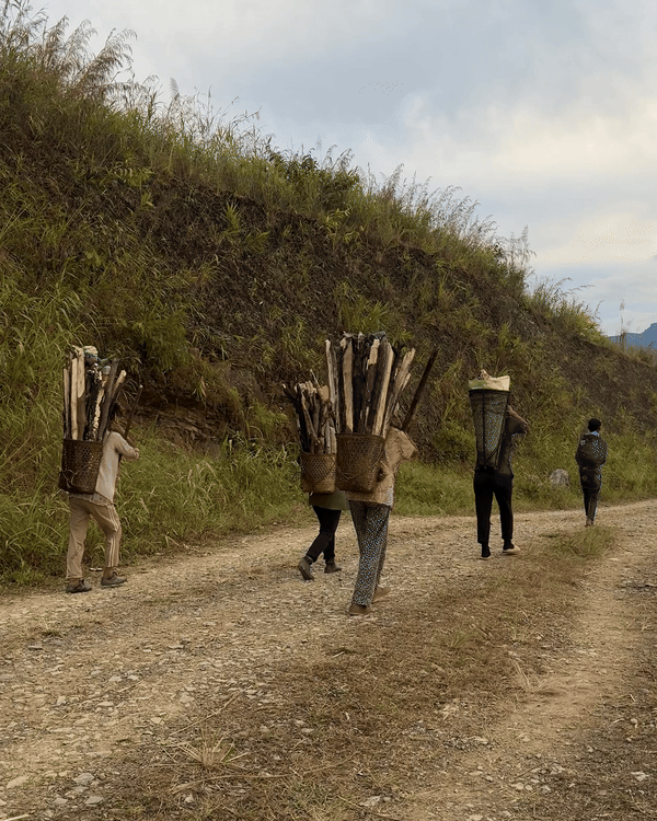 travailleurs Naga rentrant d'une journée passée à couper du bois dans la forêt, ils portent des paniers de bambou tressé remplis de bois coupé