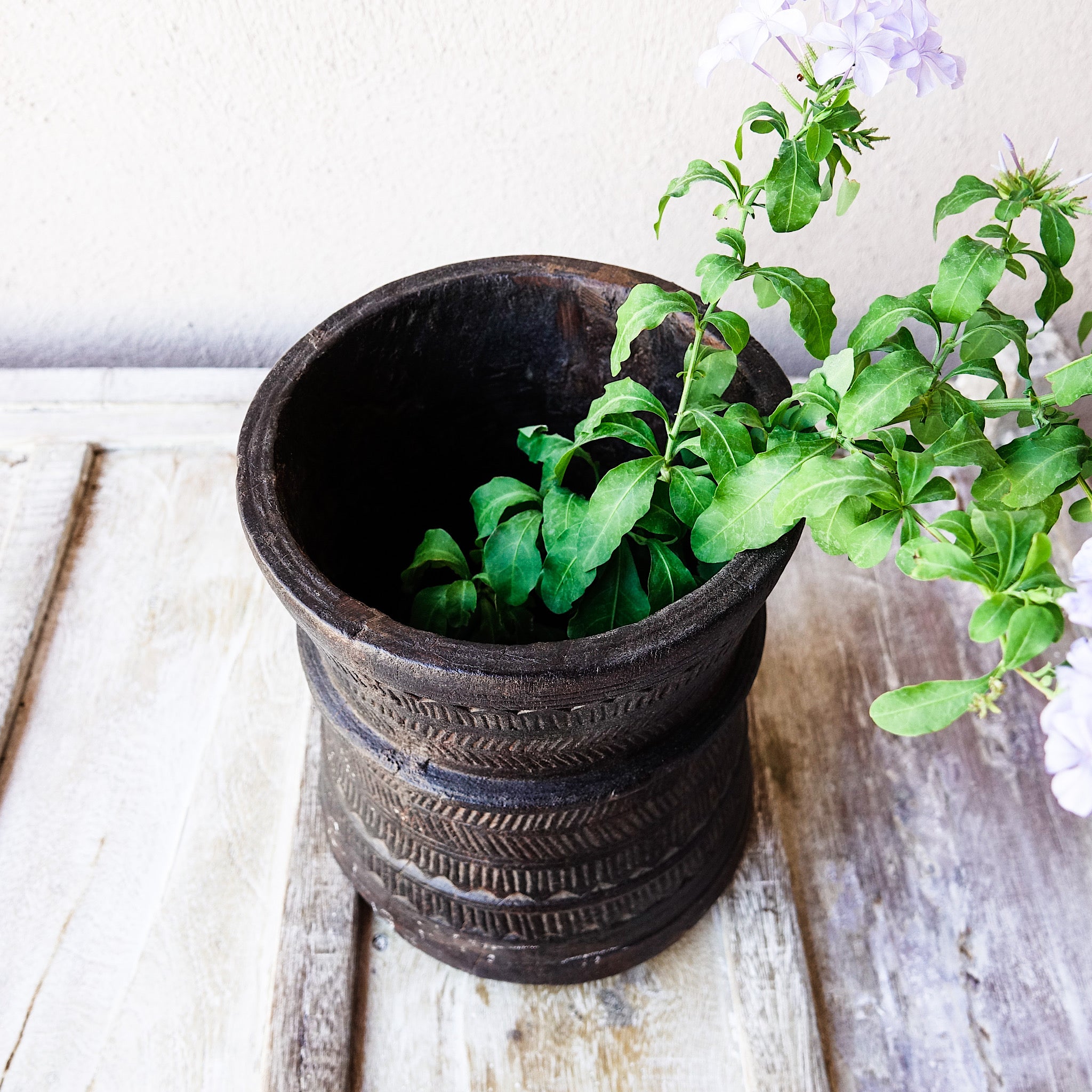 Chokha - Pot gravé en bois n°1