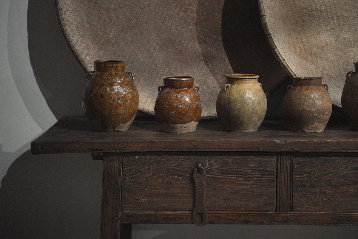 Daosui - La nouvelle collection chinoise