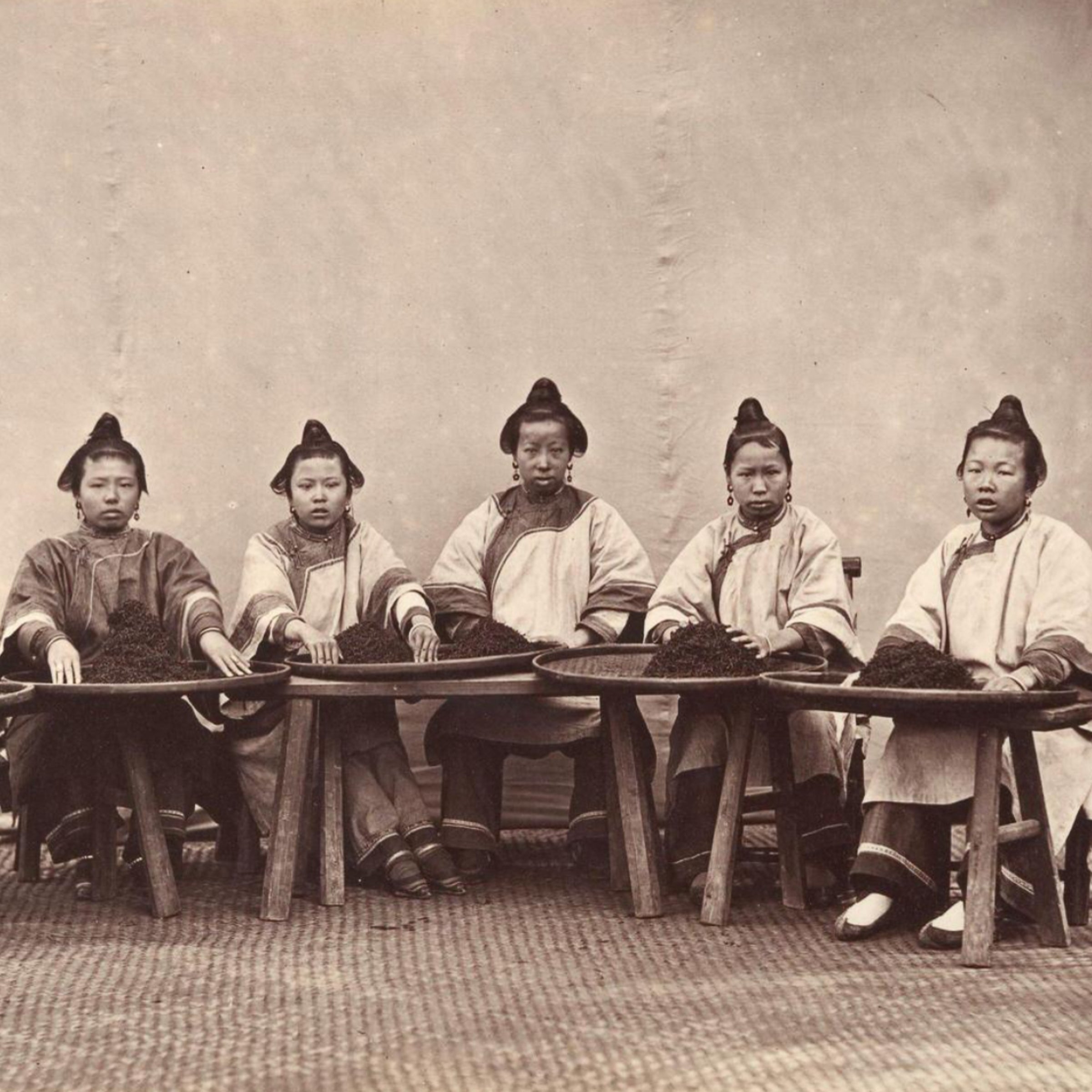 Anji – Plateau ancien chinois de récolte du thé n°12 - ambiance 1