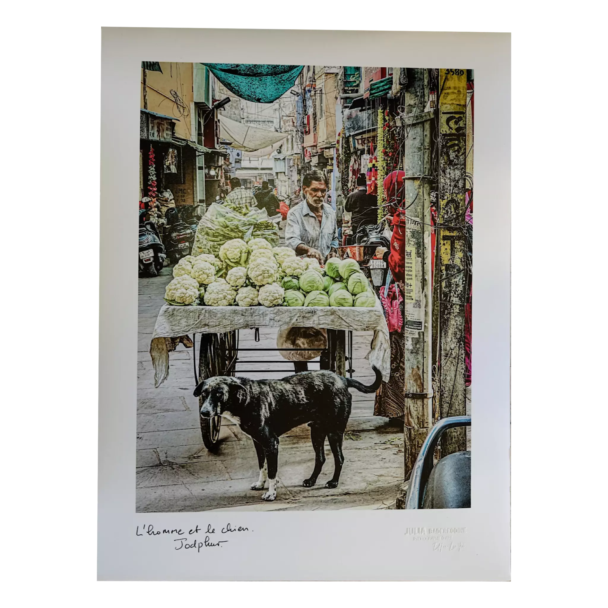 Le vendeur de chou et le chien, Jodhpur - Affiche