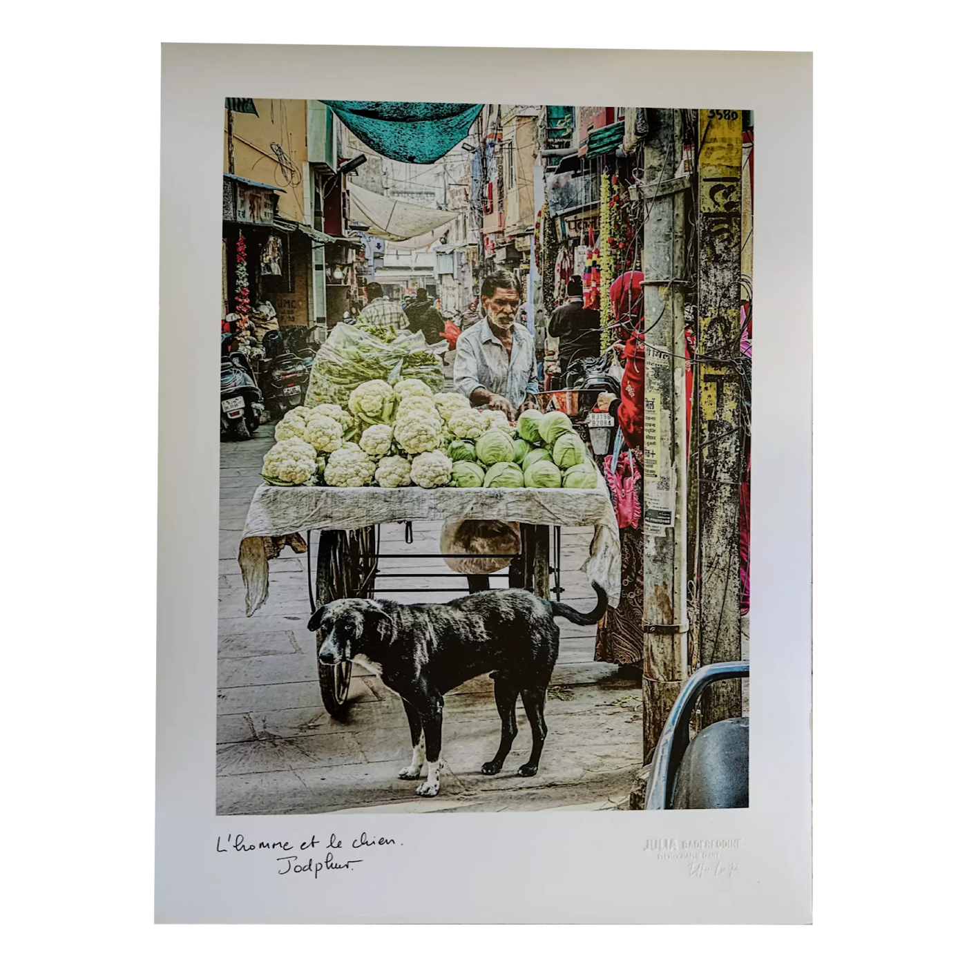 The cabbage seller and the dog, Jodhpur - Poster