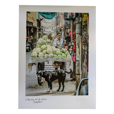 The cabbage seller and the dog, Jodhpur - Poster
