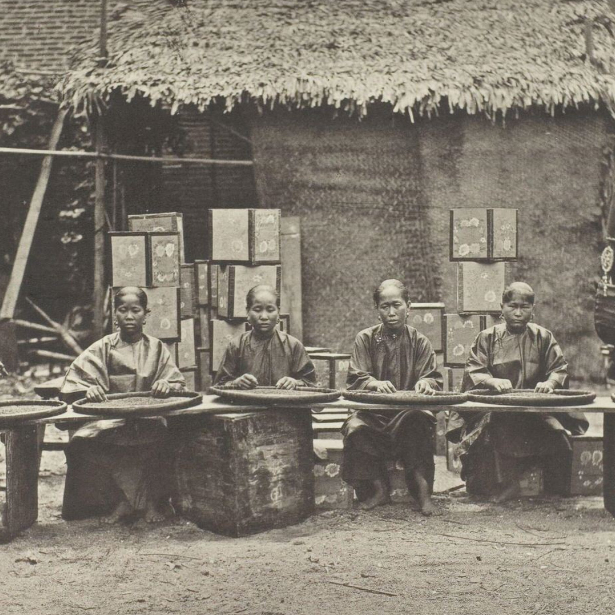 Anji – Plateau ancien chinois de récolte du thé n°19 - ambiance 2